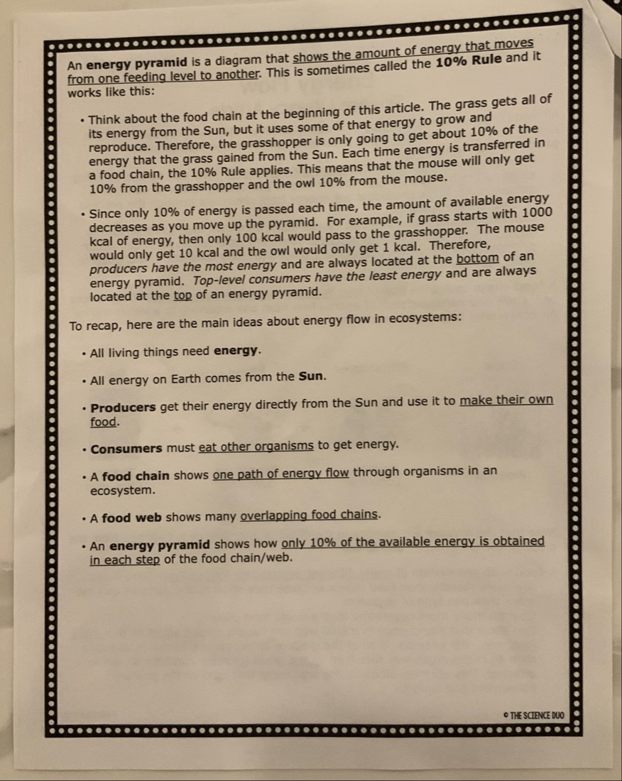 A four-page science packet: a two-page article on energy flow, then two pages of questions. Page 2.