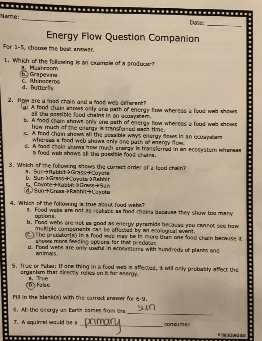 A four-page science packet: a two-page article on energy flow, then two pages of questions. Page 3.
